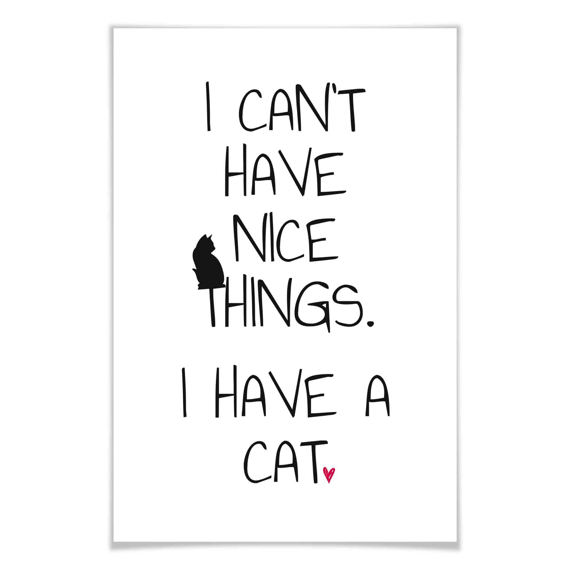 Poster - I can't have nice Things - Cat