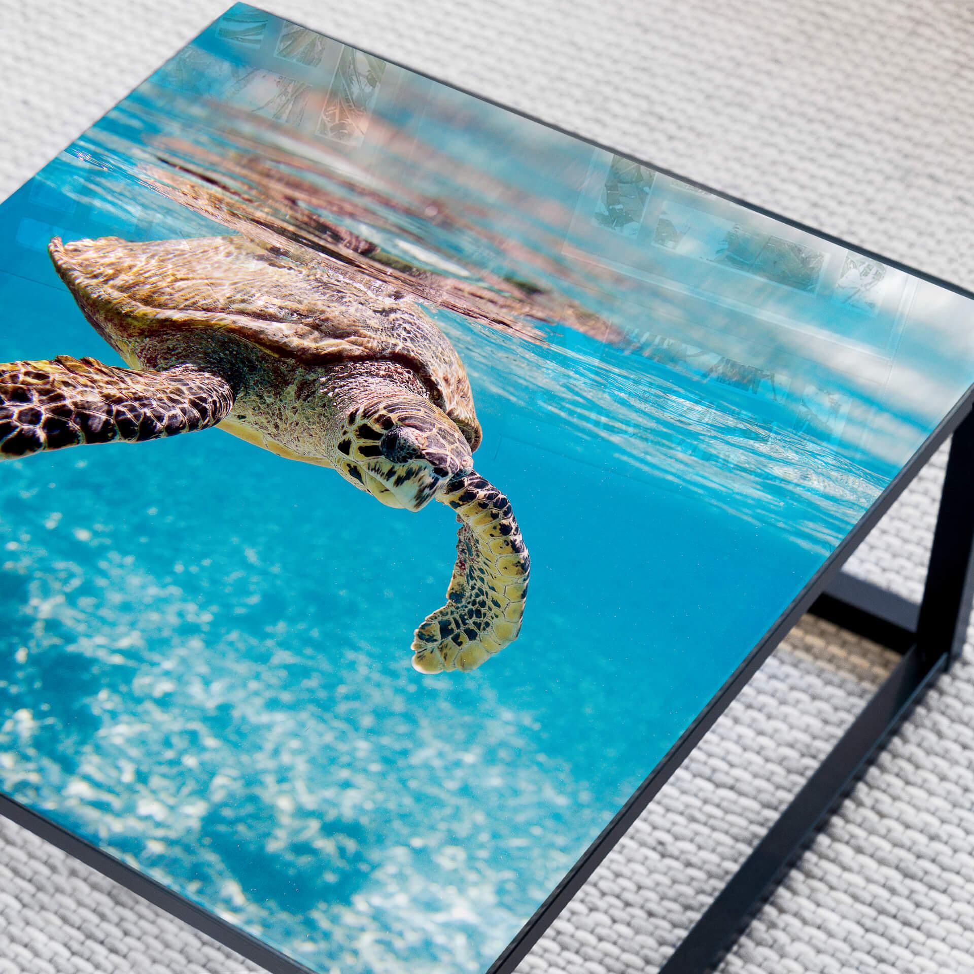 Plateau de table en verre - Tortue en voyage - Carré