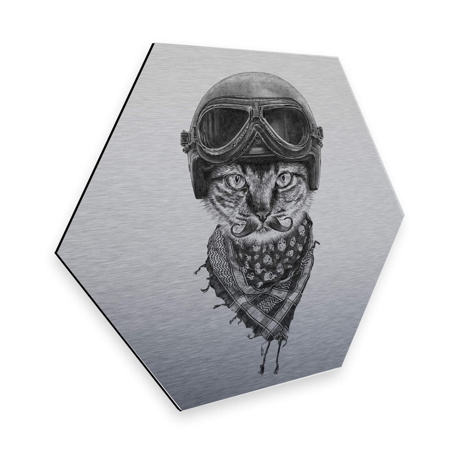 Hexagon - Alu-Dibond zilver effect Kools - Biker Cat