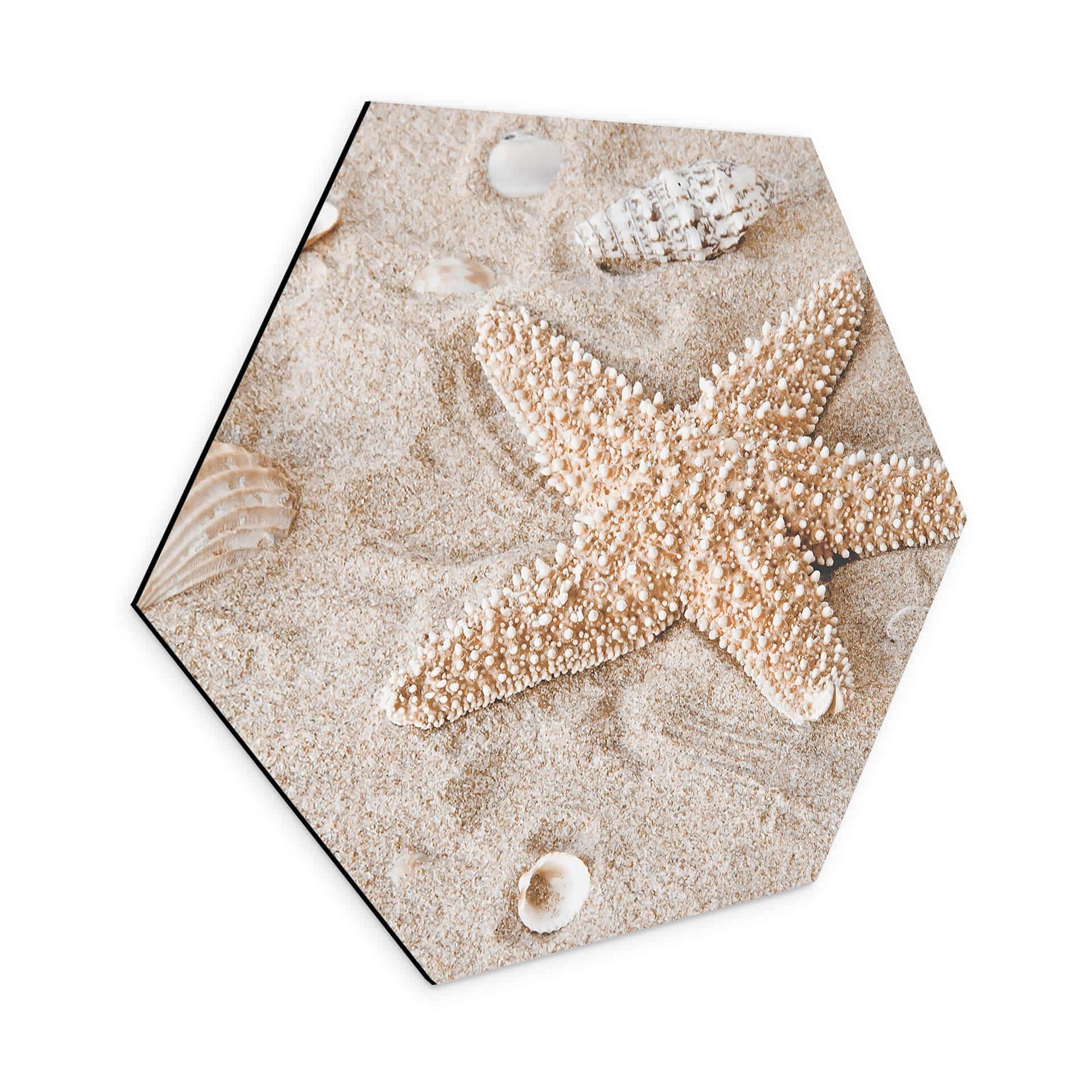Hexagone - alu-Dibond Poisson-étoile dans la plage dorée