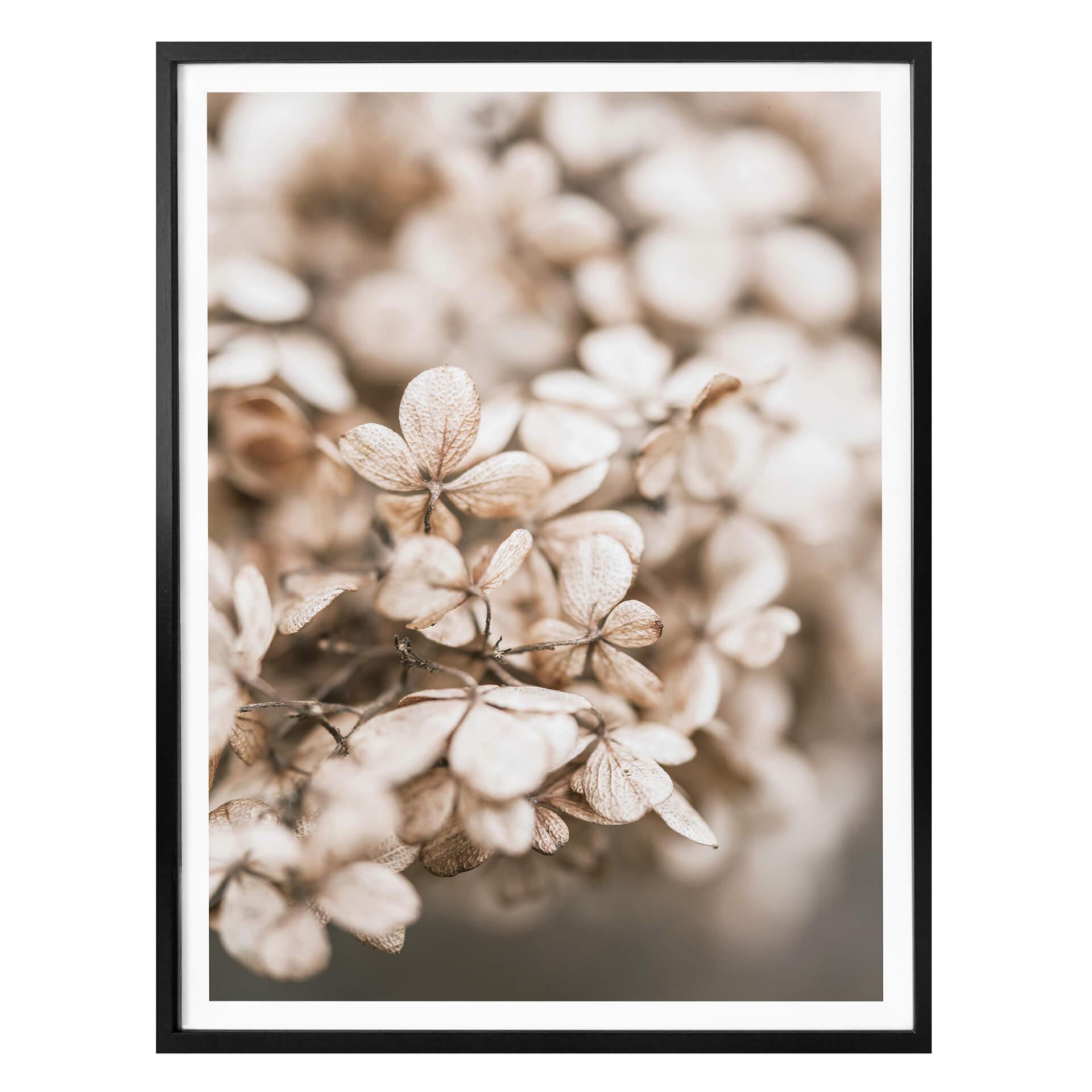 Póster Annie - Flores de terciopelo