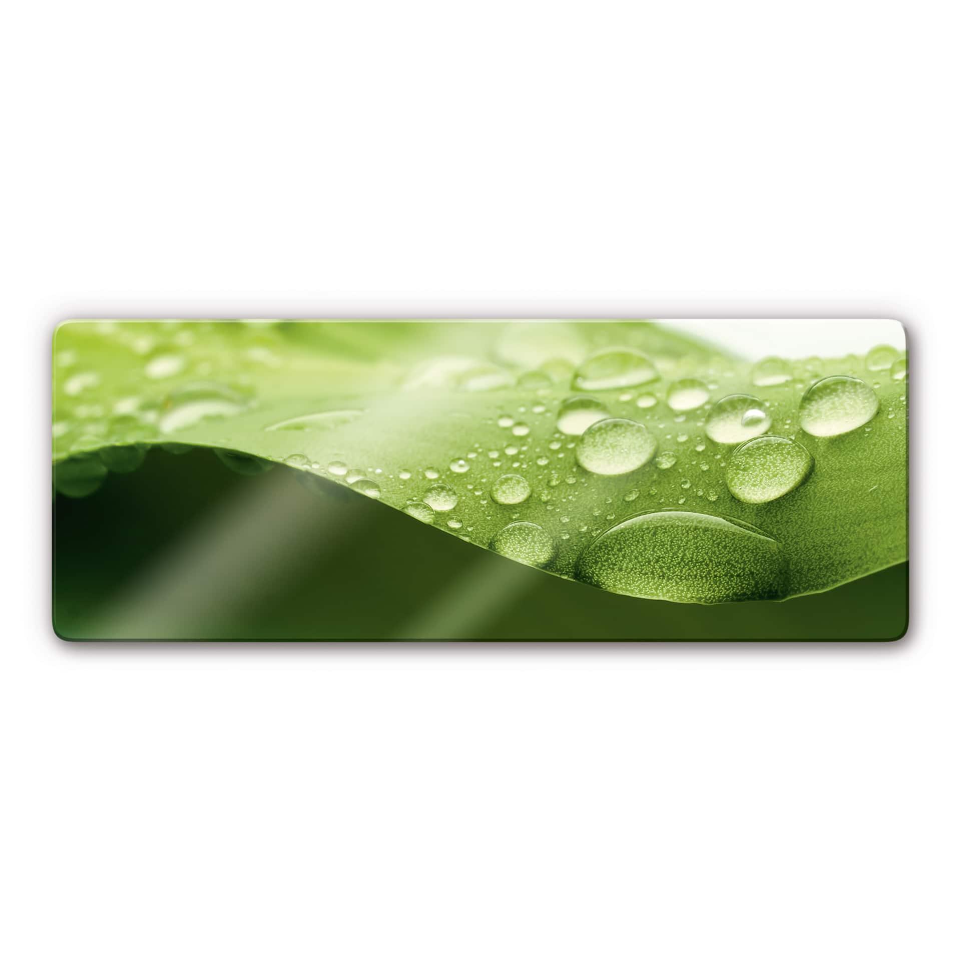 Tableau en verre - Nature 3 - Panorama
