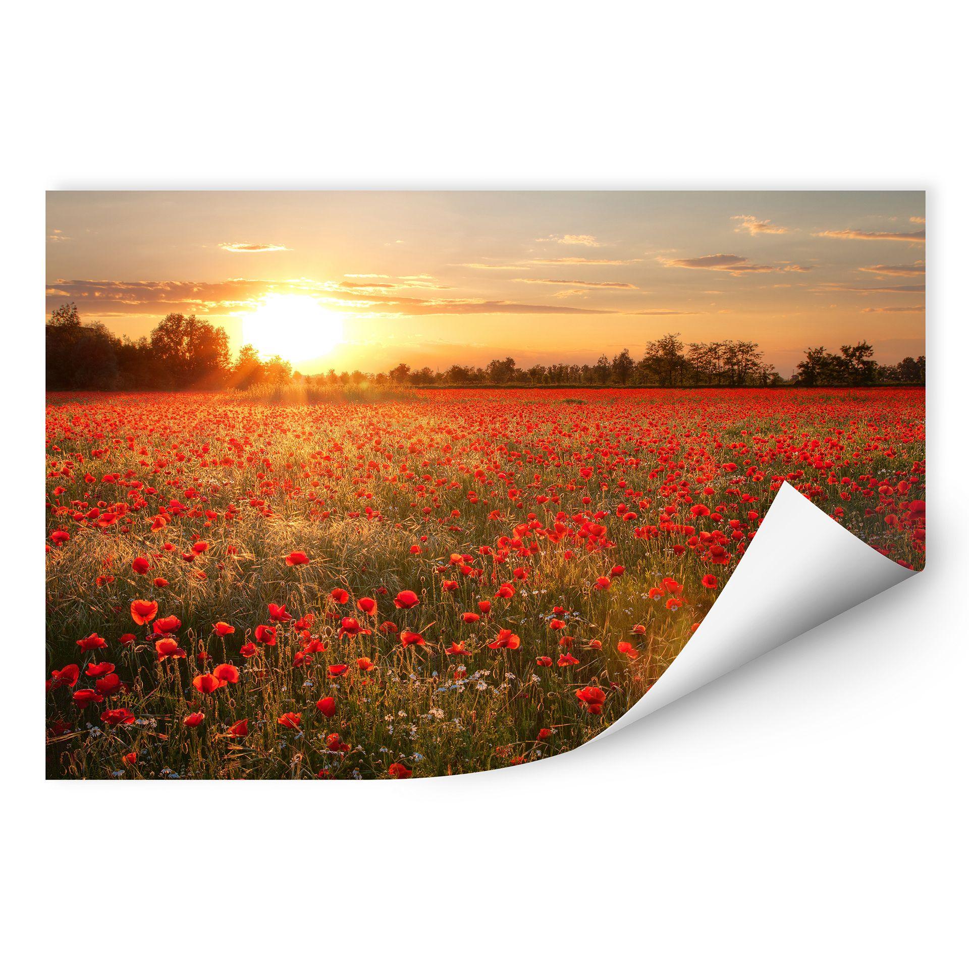 Muurprints Klaprozen bij Zonsondergang