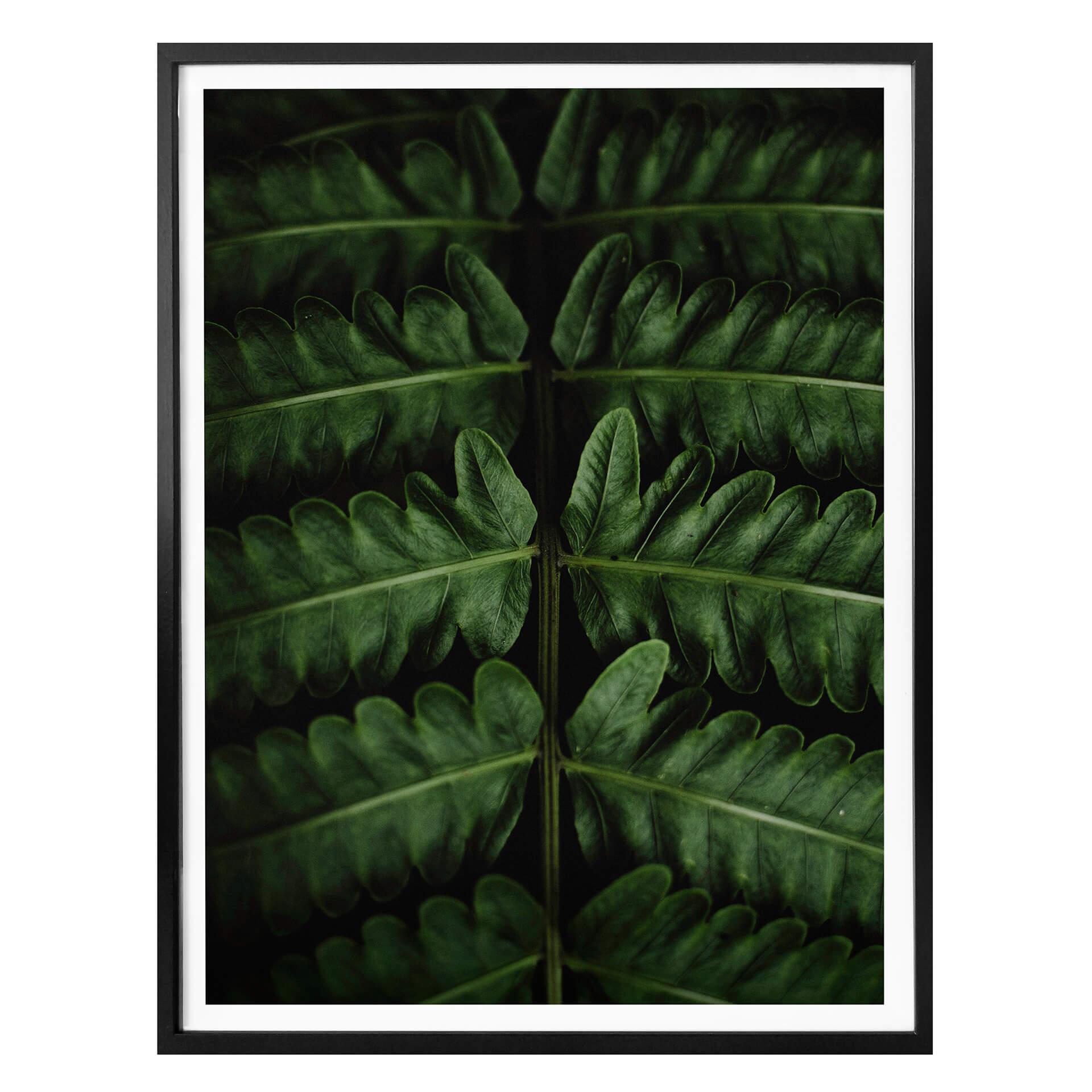 Plakat - Botanical 02
