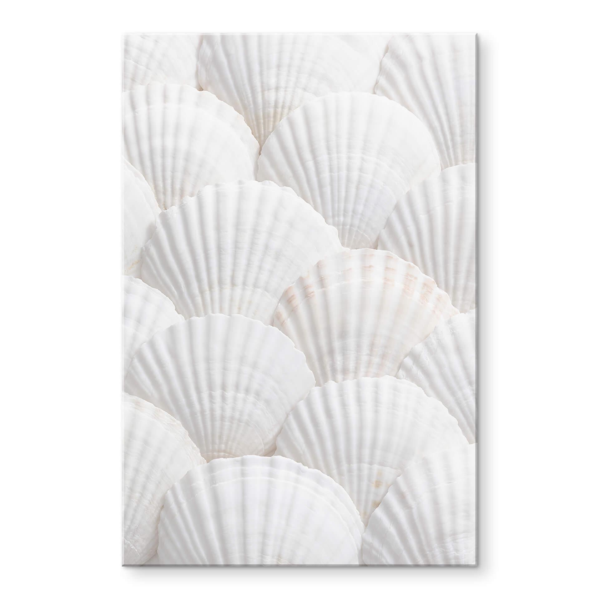 Akrylbillede 1X Studio - Shell ensemble