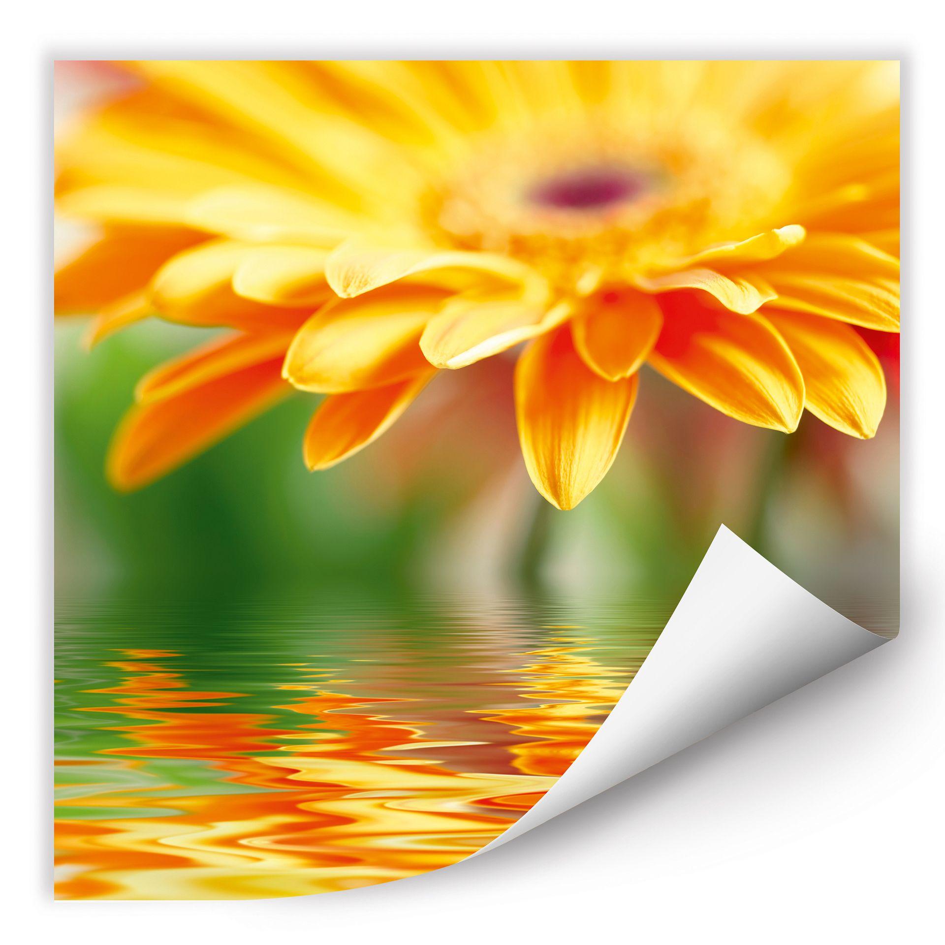 Poster autocollant - W - Reflet de Gerbera