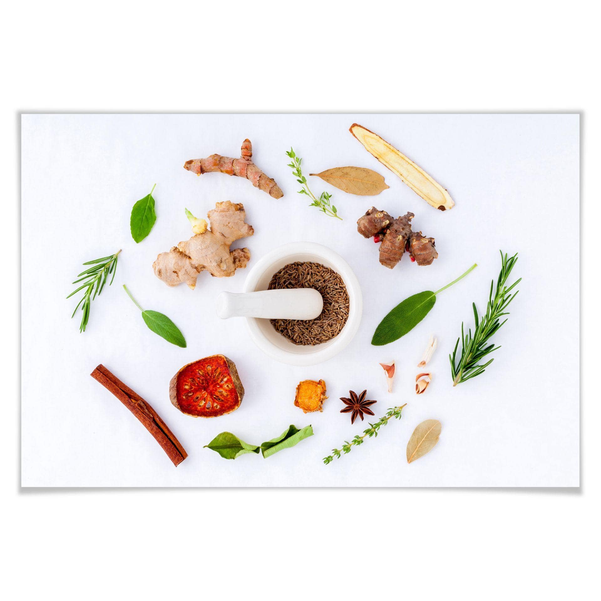 Poster - Herbes aromatiques