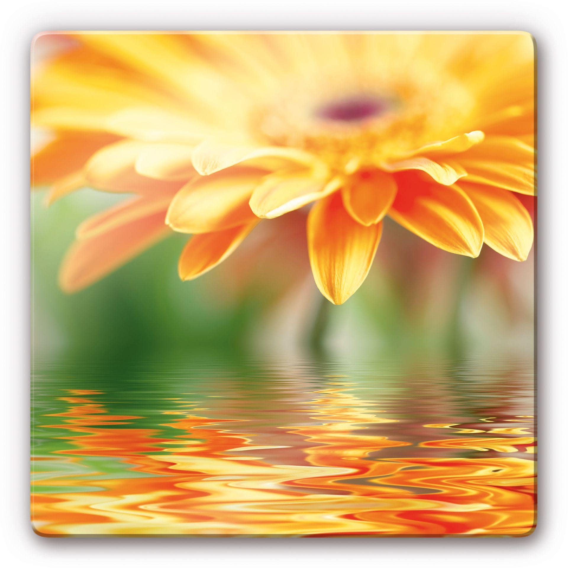 Tableau en verre - Reflet de Gerbera