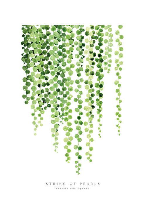 Plakat Blursbyai - Akvarel af perlekæde, plakat (40 x 60 cm)