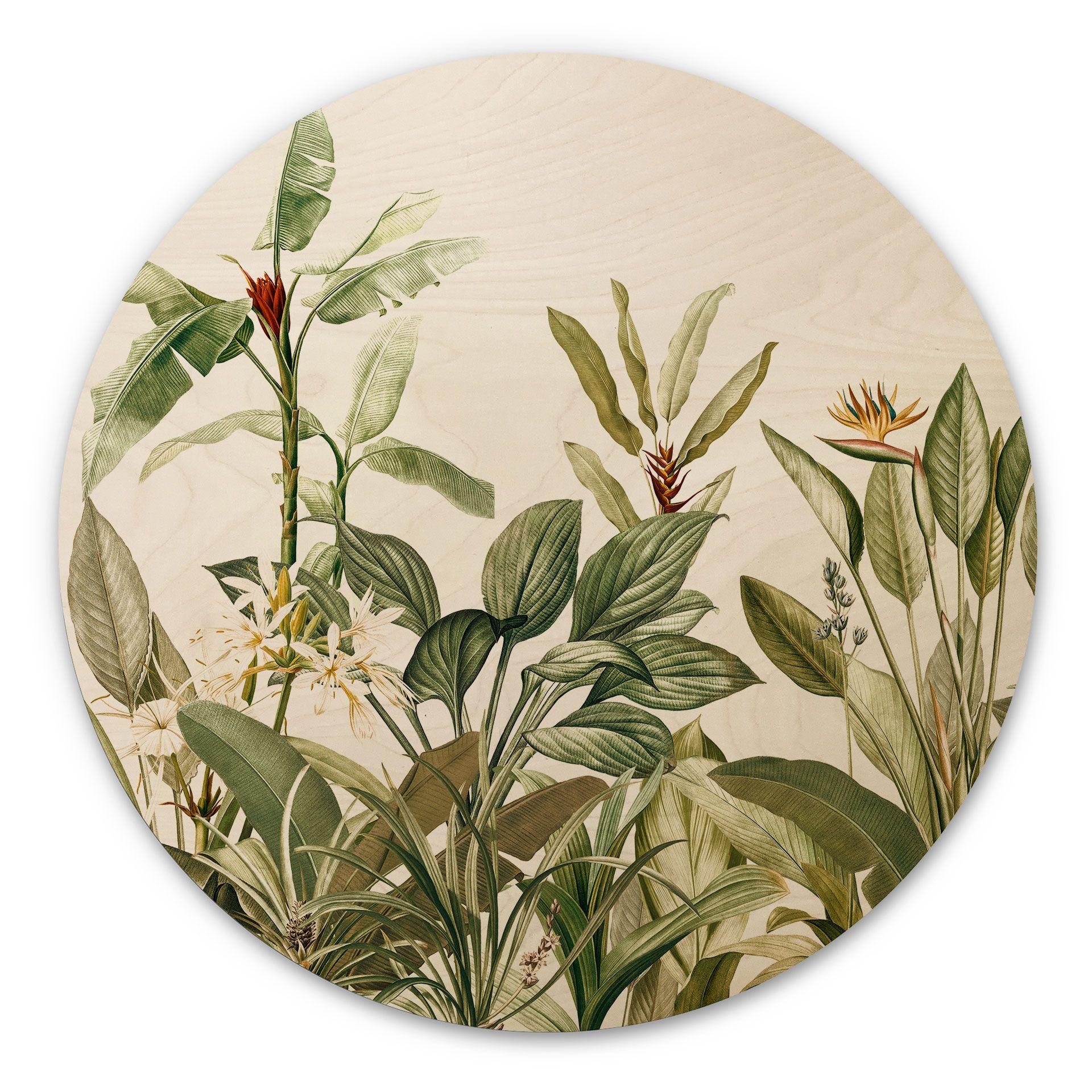 Cuadro de madera Botánica tropical - Diseños ONU - Redondo