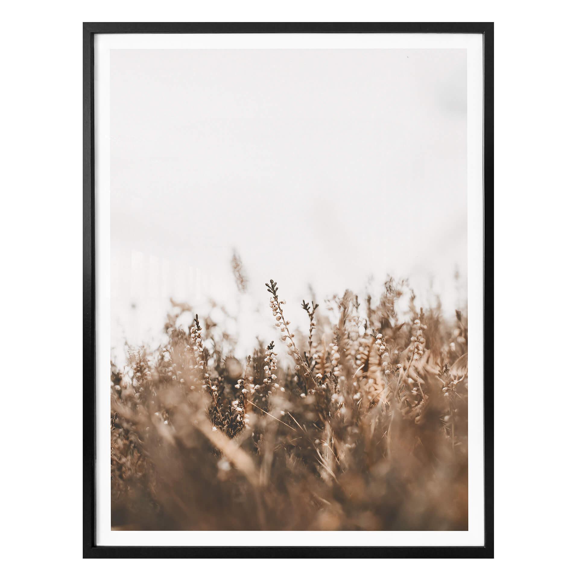 Plakat - Annie - Meadow Grass
