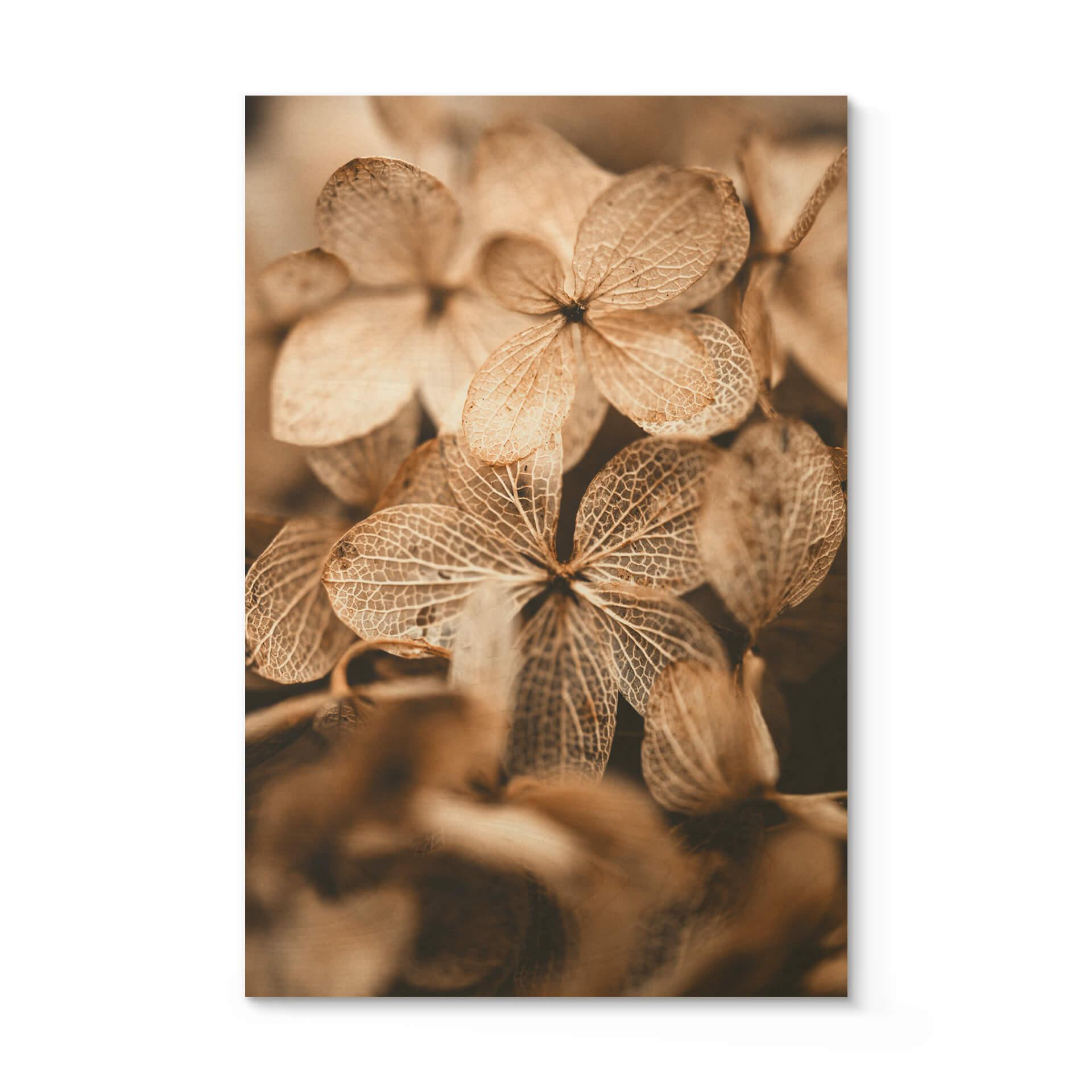 Cuadro de madera Annie - Flores delicadas