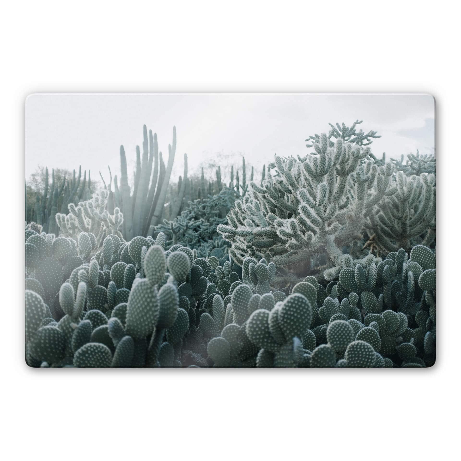 Glasschilderij Cactussen