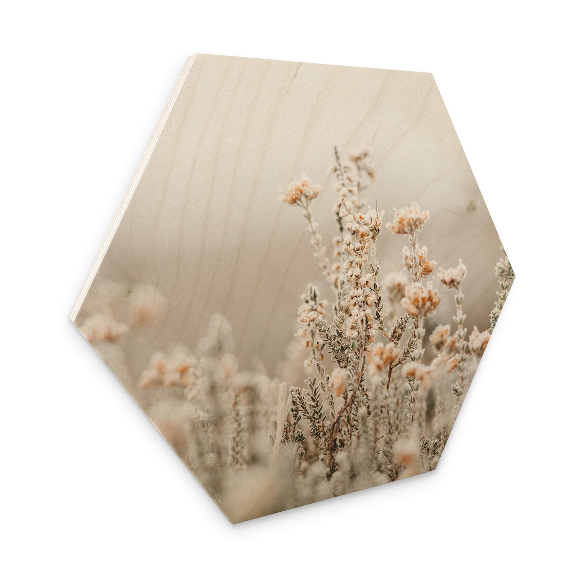 Hexagone - Bois Annie - Fleurs de glace