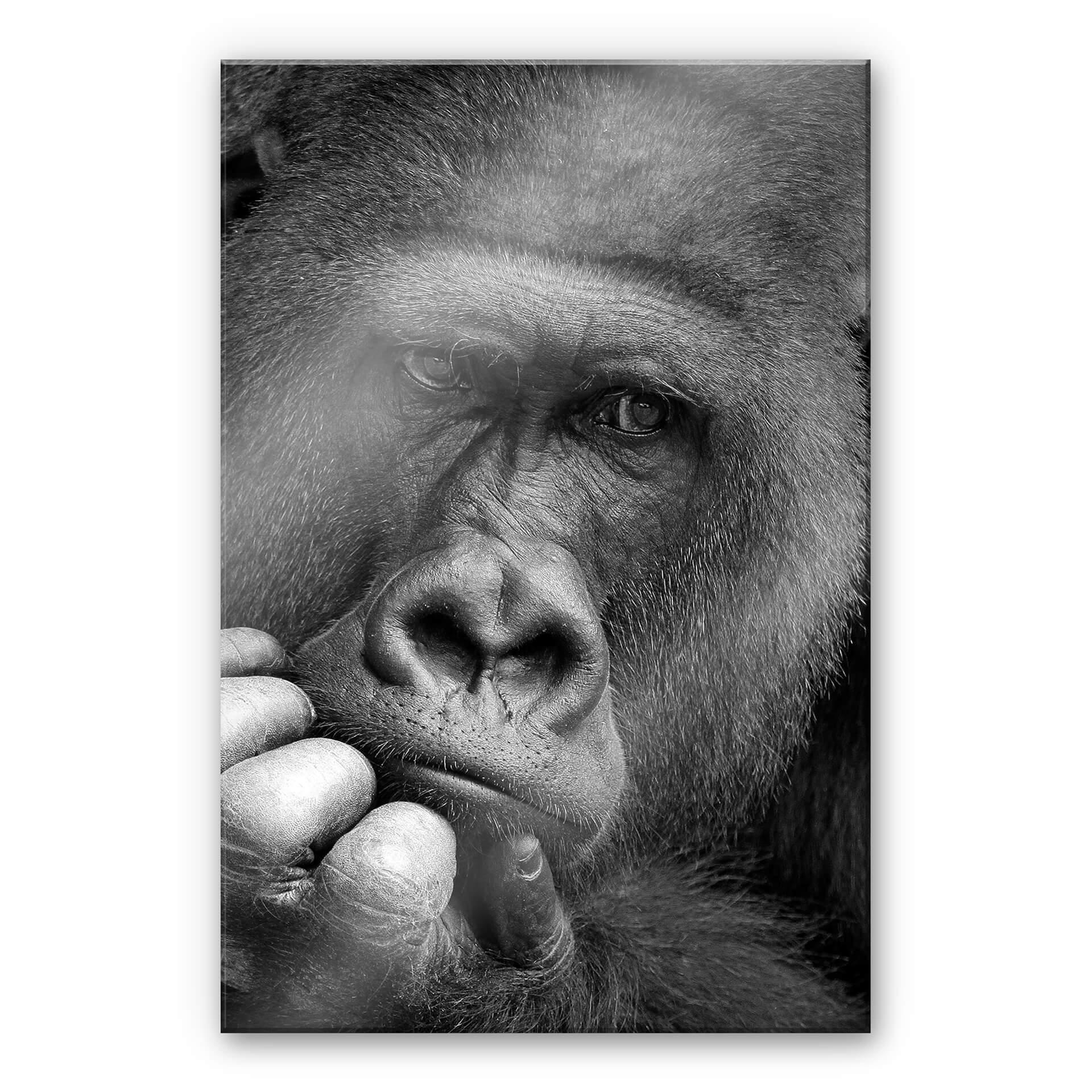 Akrylbillede Wenner - The Gorilla