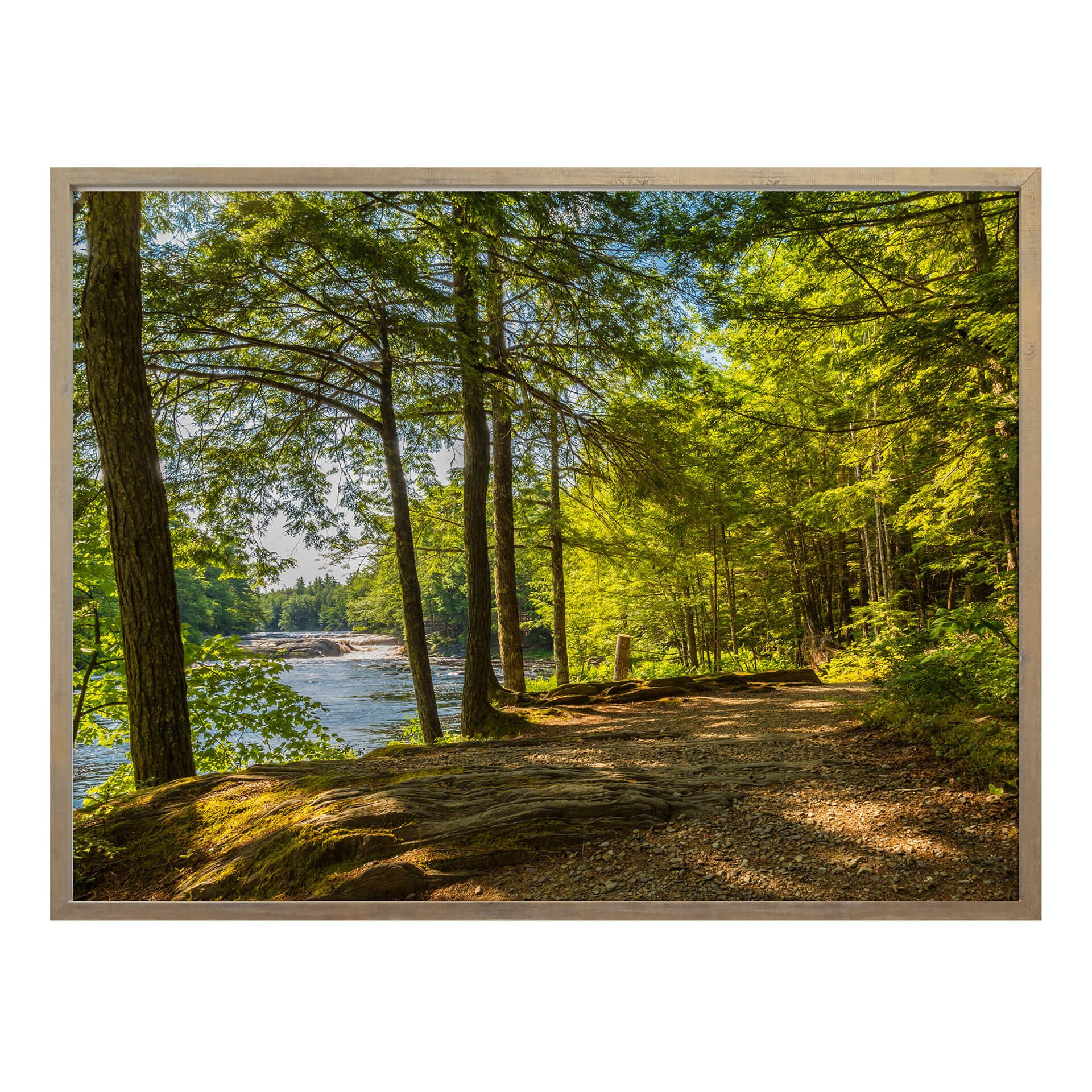 Póster Camino forestal junto al río