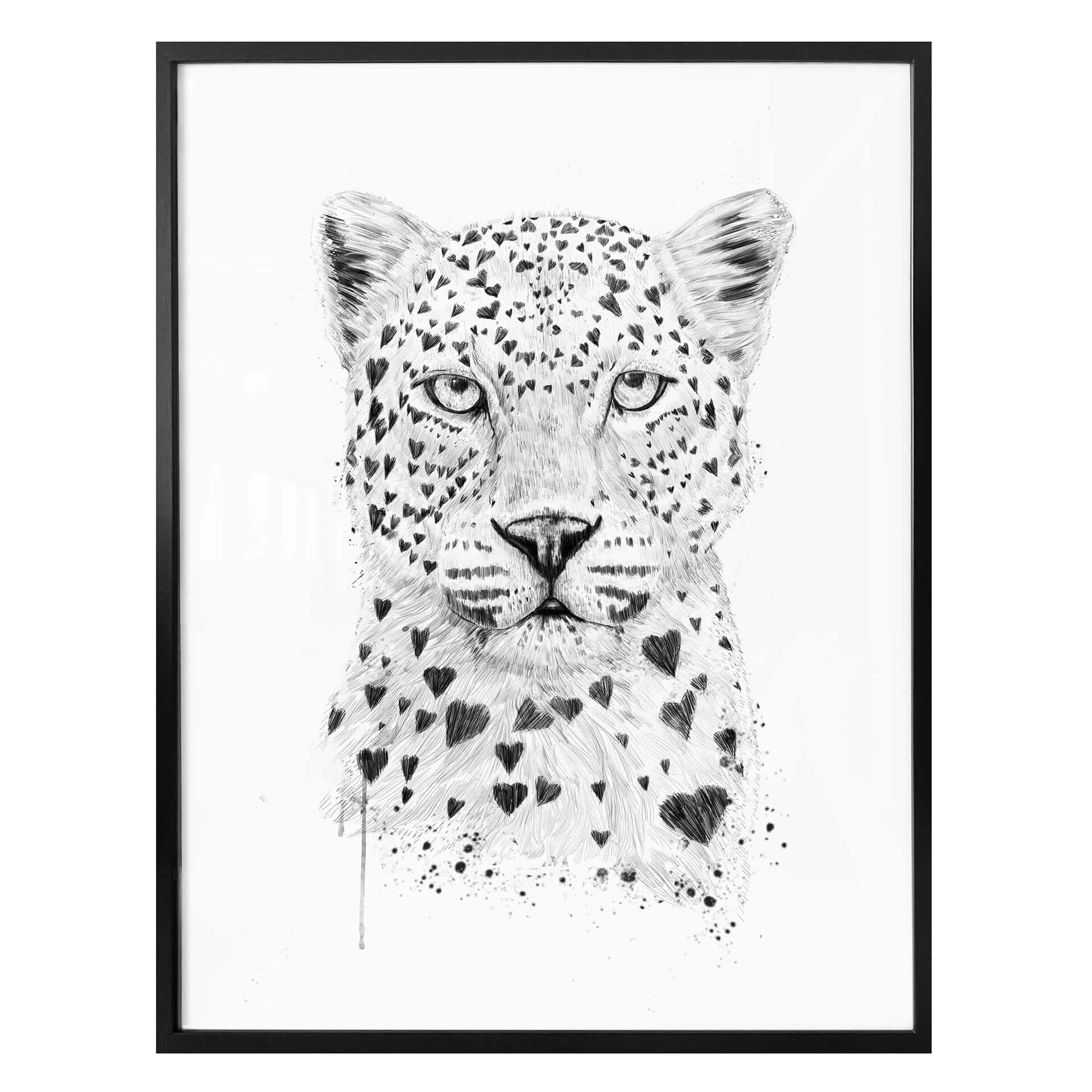 Plakat - Solti - Kærlig leopard