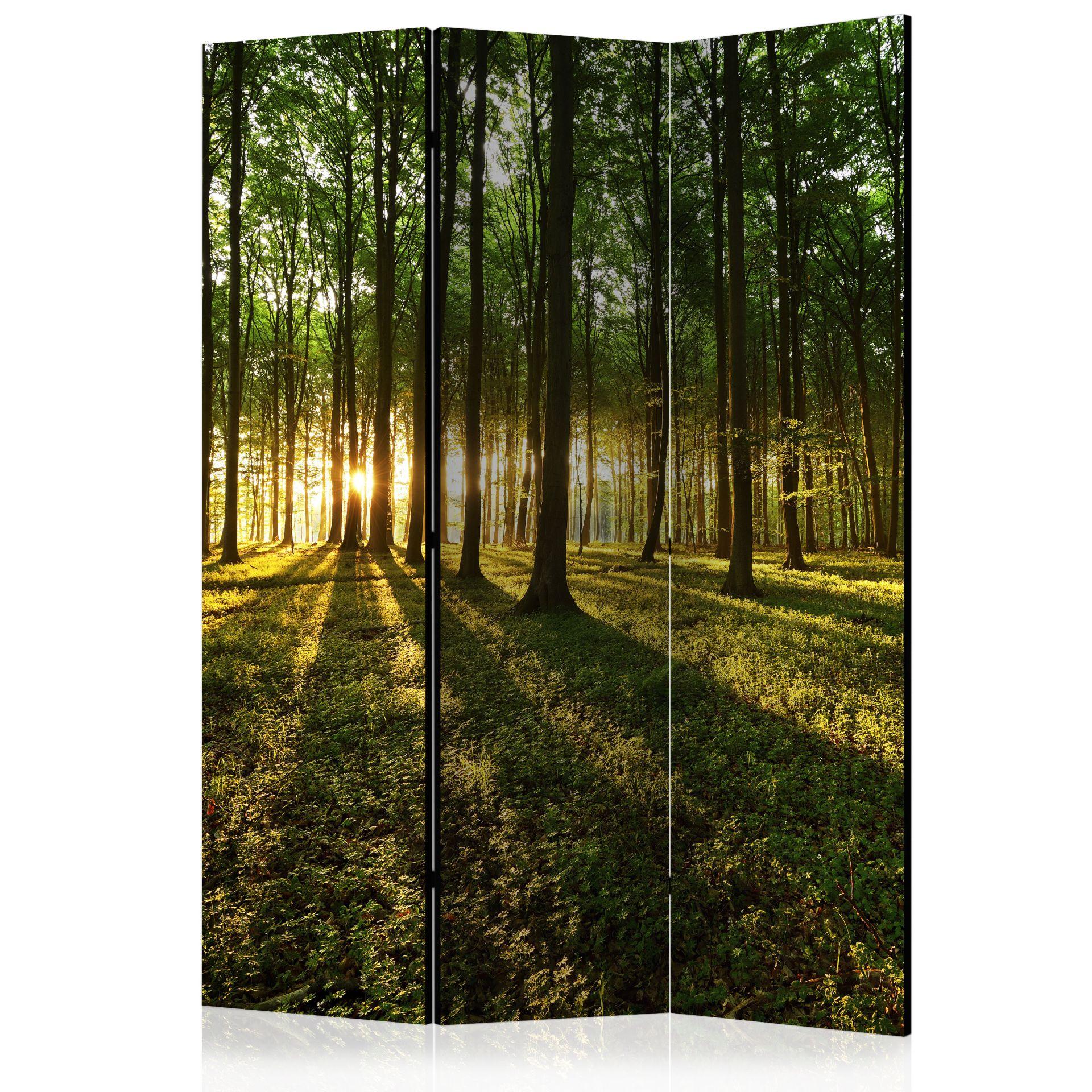 Screen room divider - Morgen i skoven, 3-delt