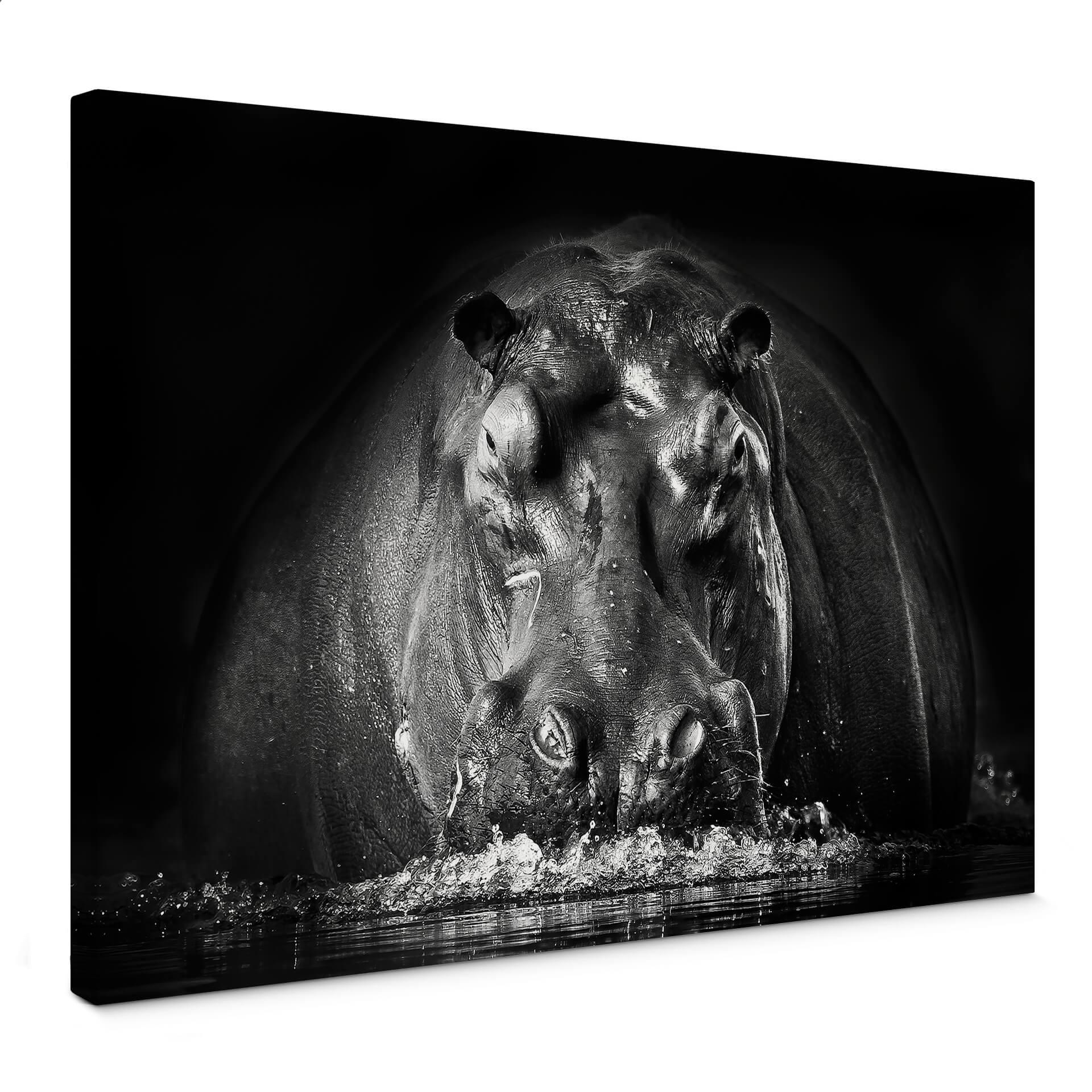 Canvasbillede - Golob - Scudging Hippo