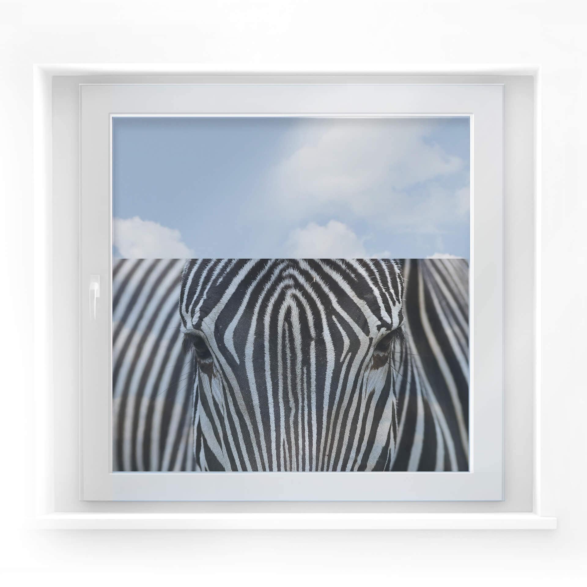 Vinduesudsmykning: Zebra ansigt