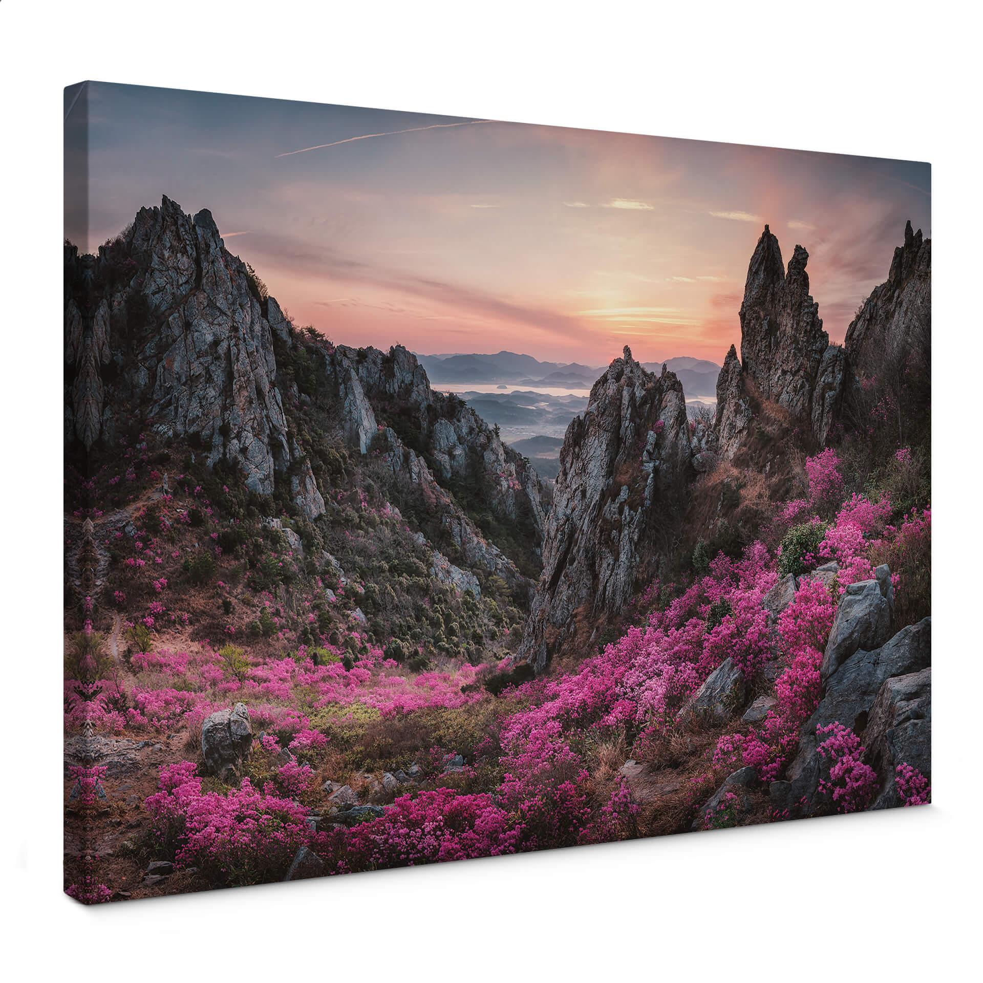Lienzo Seo - Paisaje rocoso al atardecer