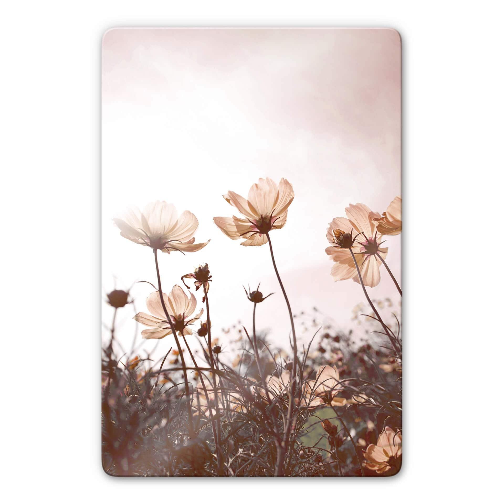 Glasschilderij Wilde Bloemen