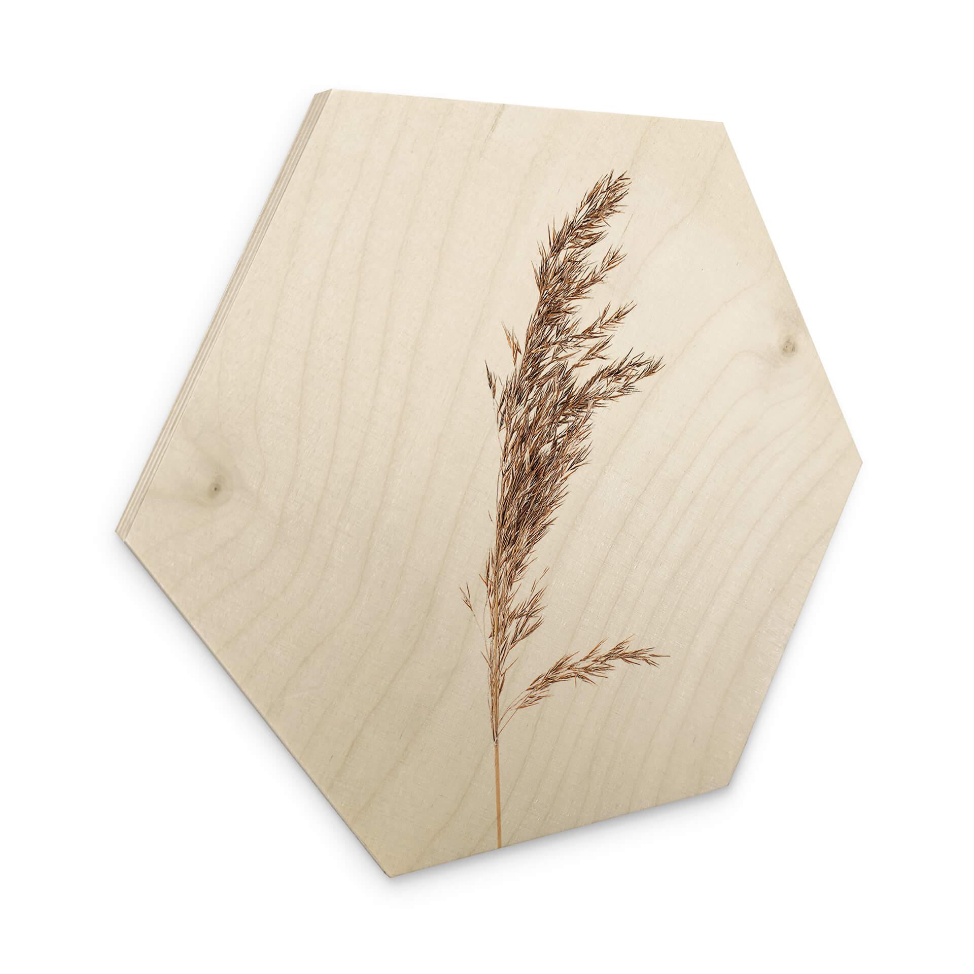 Hexagon Hout Siergras No. 3