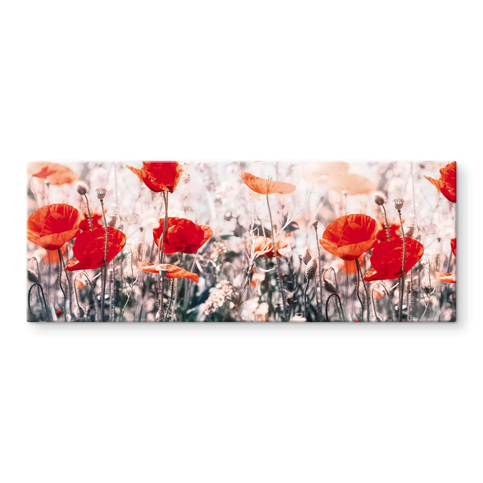 Tableau sur verre Coquelicot d'été rouge