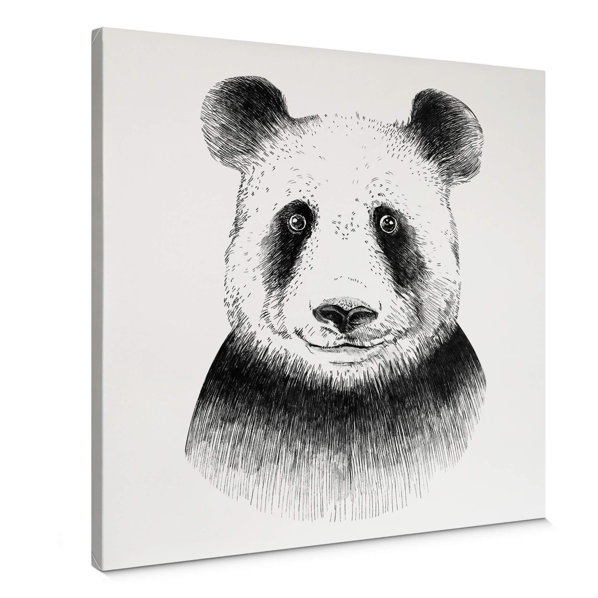 Lienzo Kvilis - Oso panda
