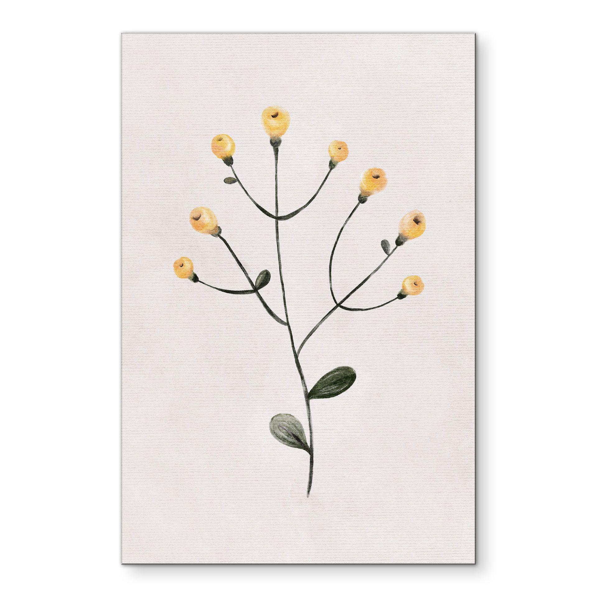 Billede Delikat plante med gule blomster - Goed Blauw – print på aluminium (Alu-Dibond)