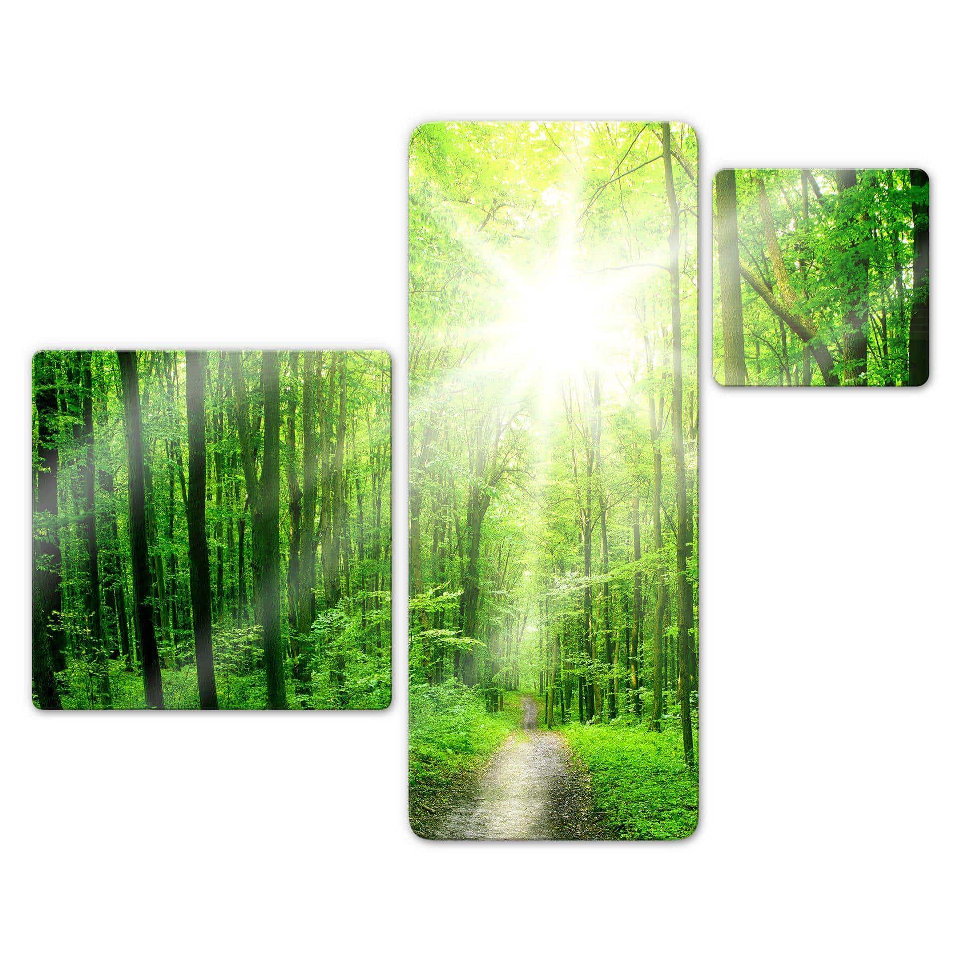 Tableau en verre - Sunny forest (3 parties)