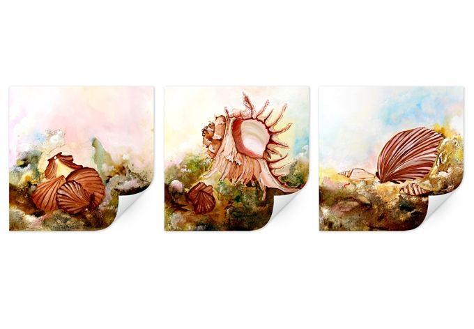 Zelfklevende Poster  Fedrau - Shells