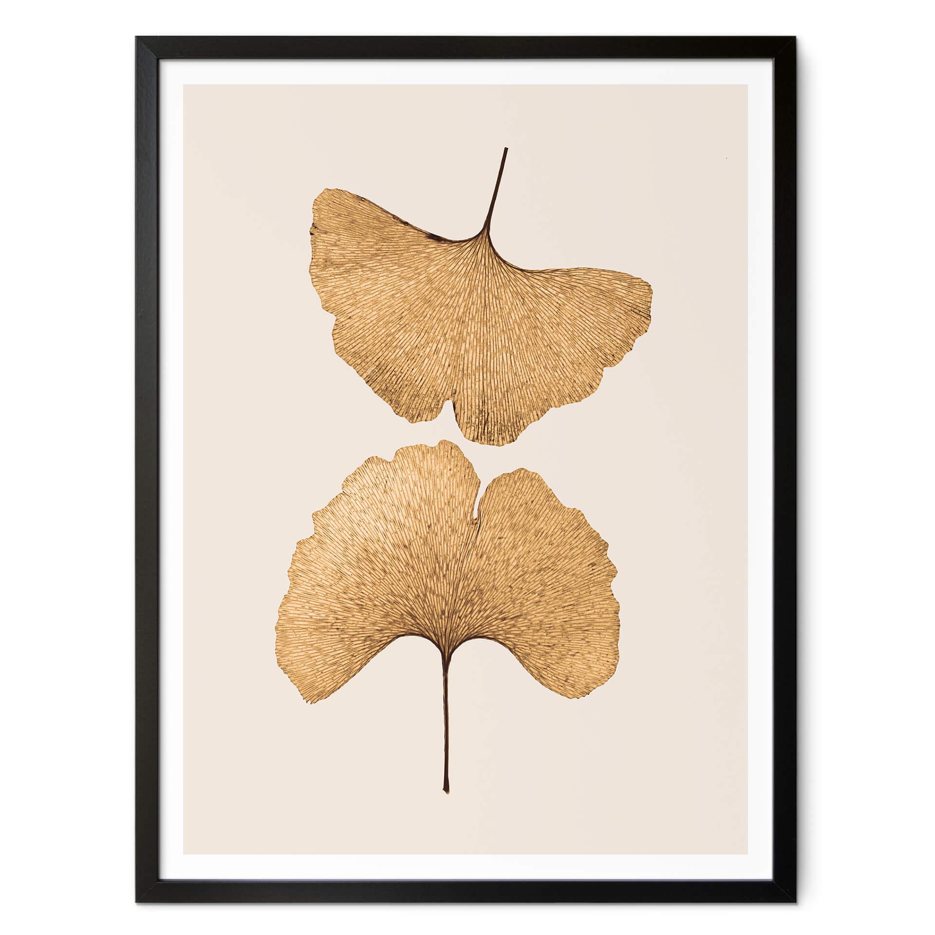 Póster Lenka - Ginkgo