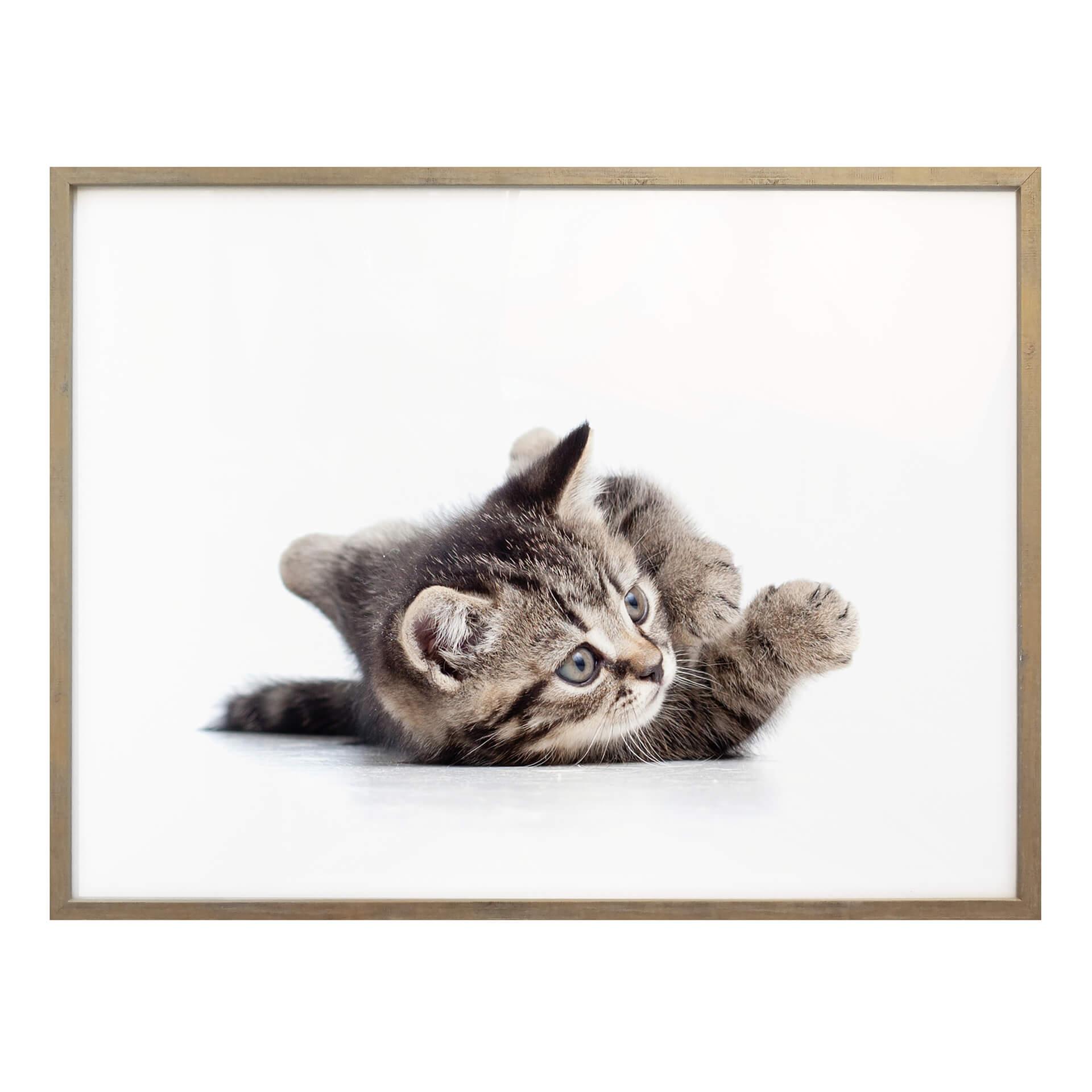 Póster gatito juguetón