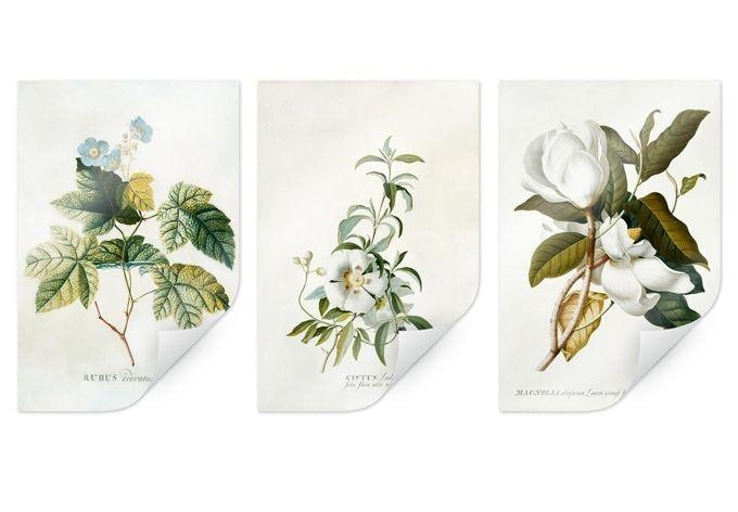 Poster - Ehret - Set (3 parties)