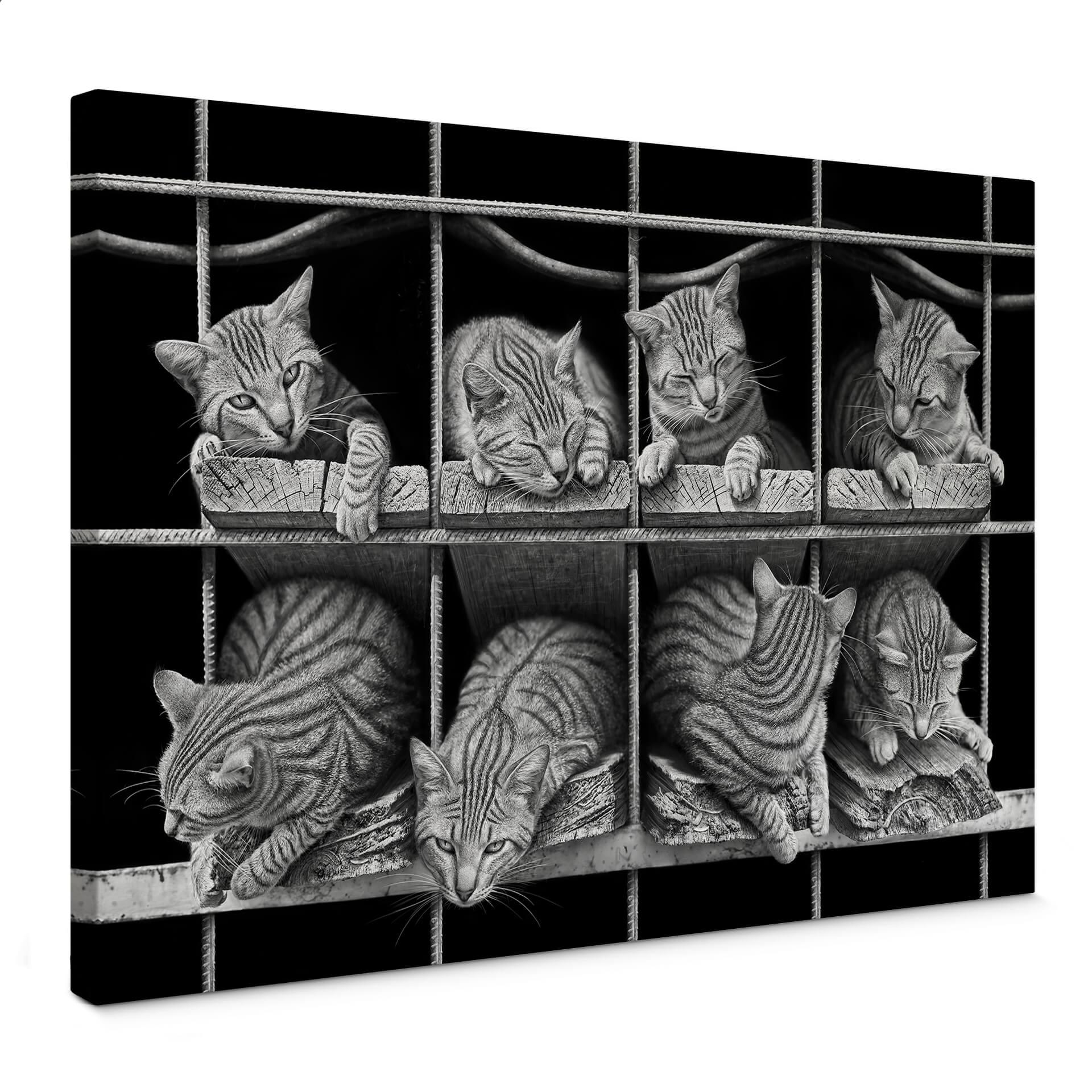 Lienzo Heine - El gato