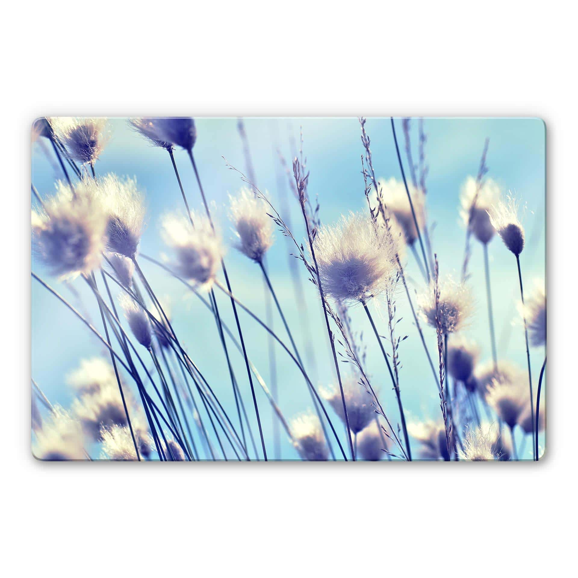 Tableau en verre Delgado - Fleurs dans le vent 