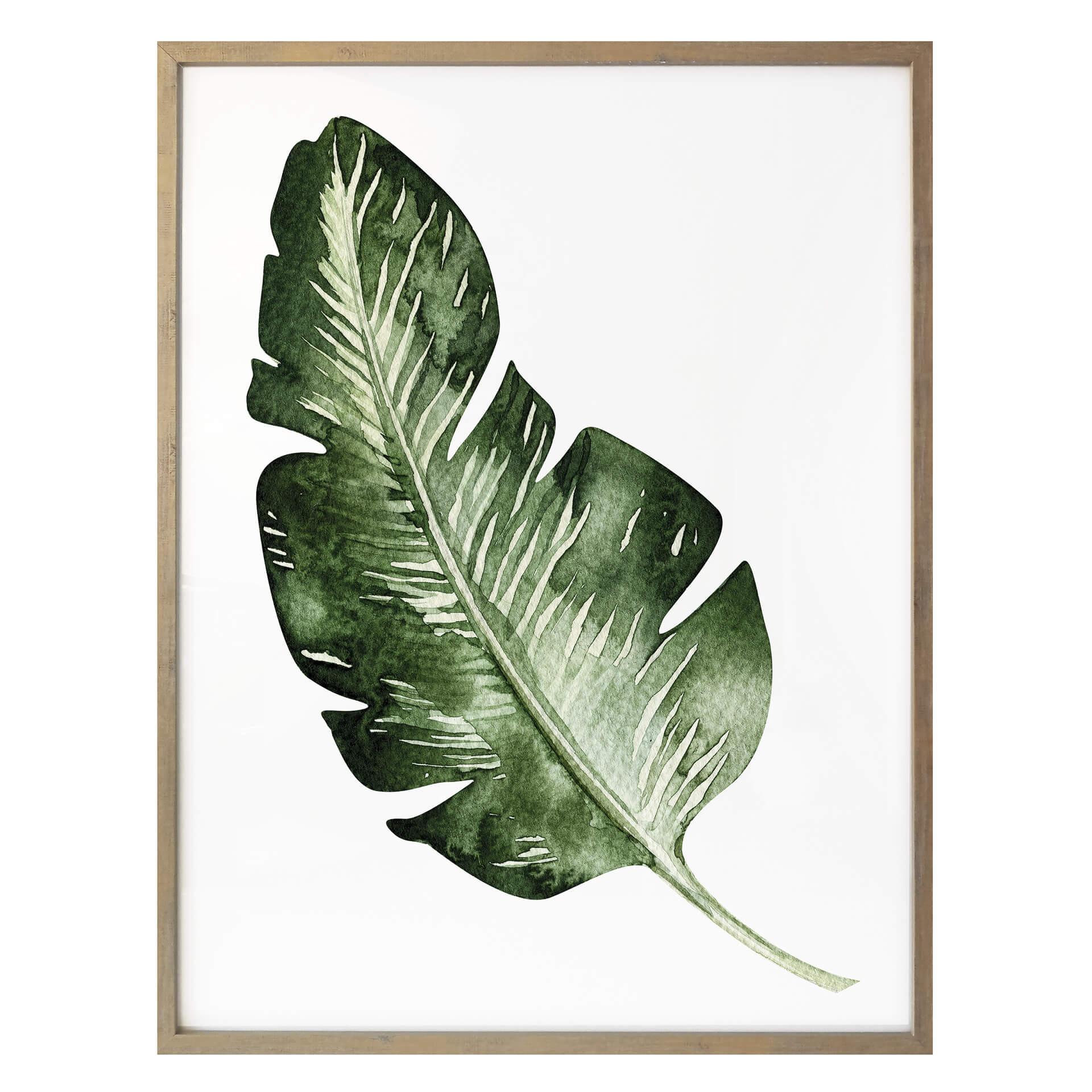 Póster Kvilis - Hoja de plátano