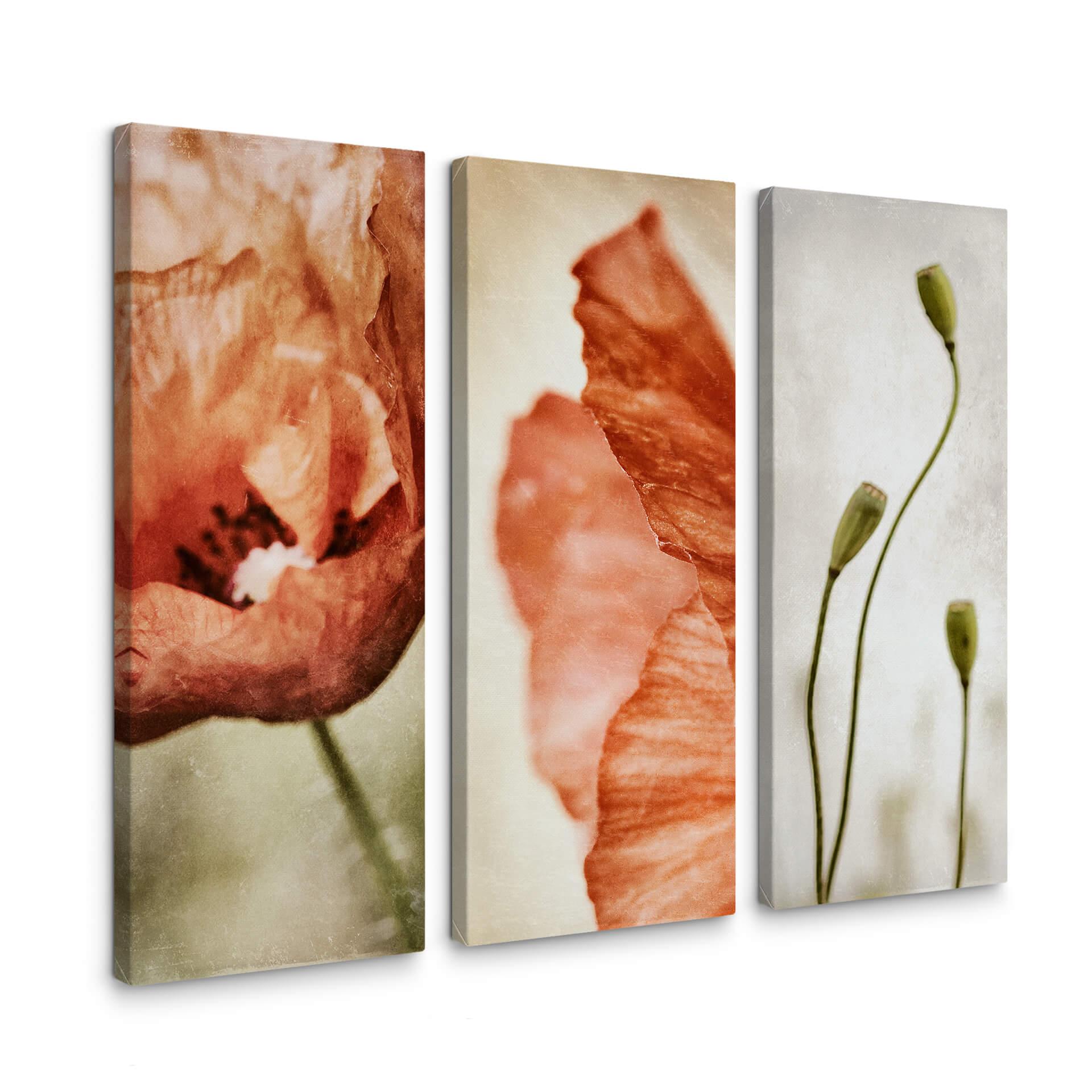 Canvasbillede - Davidsson - Poppy Flower (3x 30x80 cm)