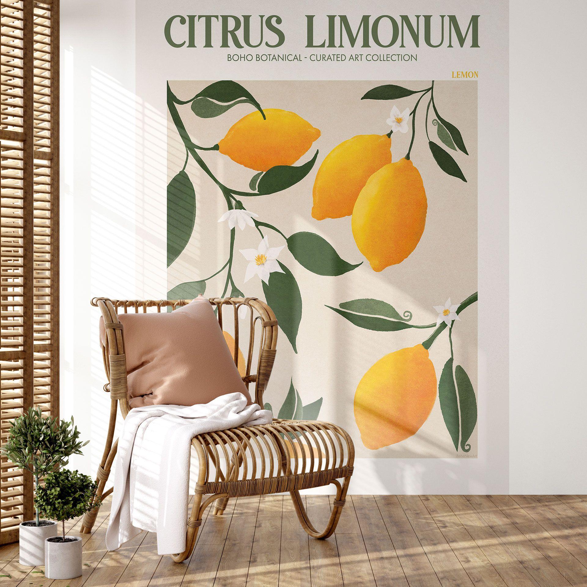 Frutas - Boho limonero - Citrus Limonum - fotomural de Tunaboylu