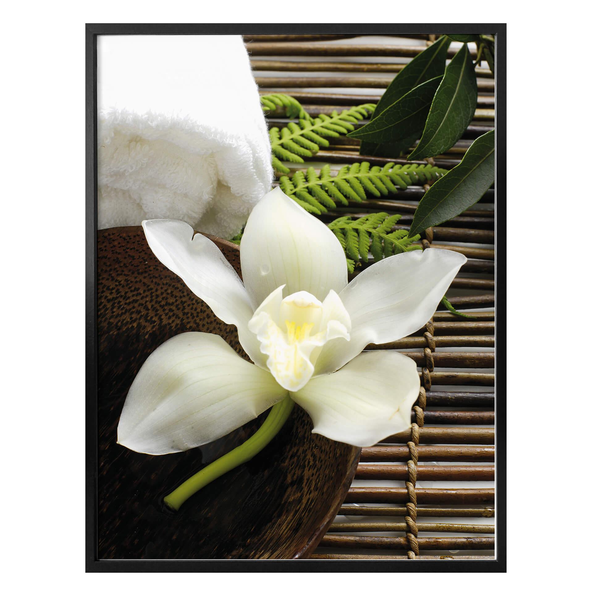 Póster Bienestar Orquídea