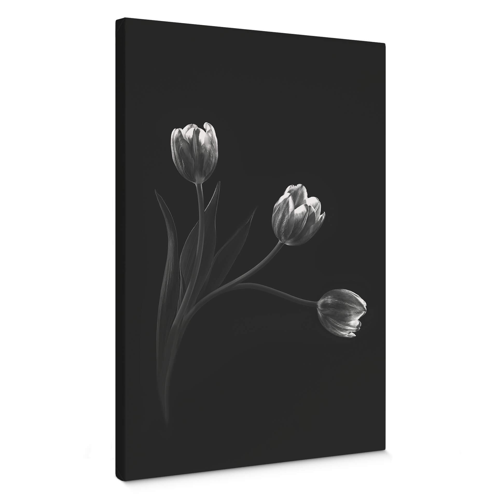 Canvasbillede - Pan - Tulipantrio