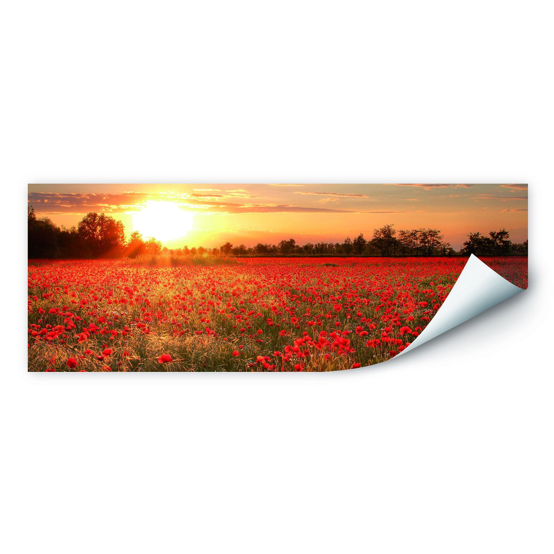 Muurprints Klaprozen bij Zonsondergang Panorama