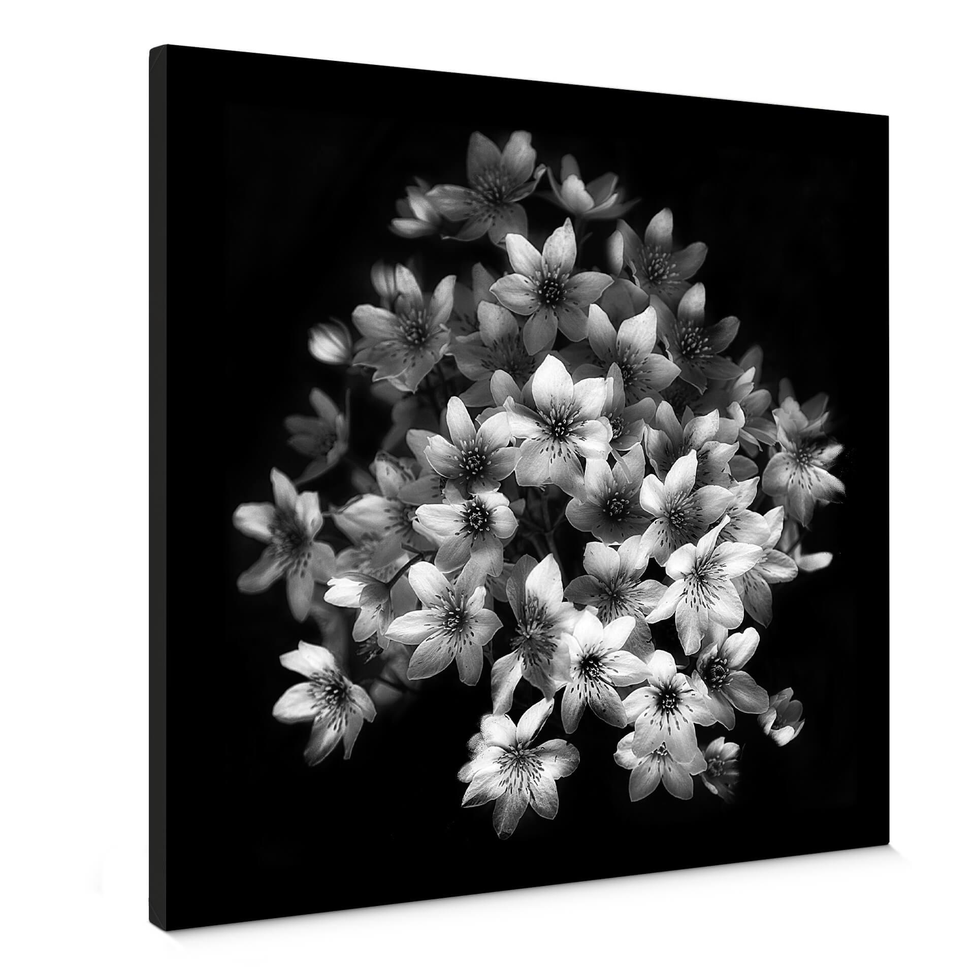 Canvasbillede - Depaepe - Early Sensation