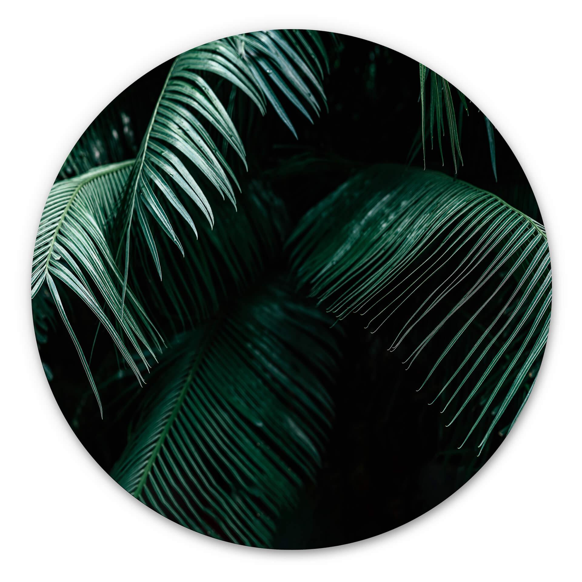 Tableau sur alu-Dibond rond Botanique tropicale