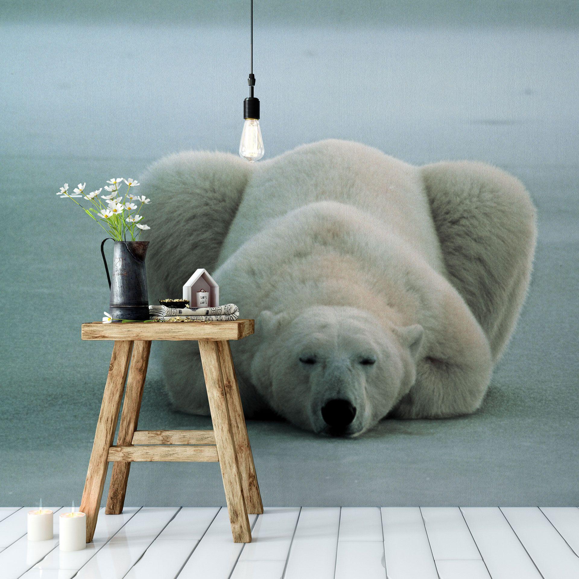 Fototapet NG Isbjørn sovende - 336x260 cm