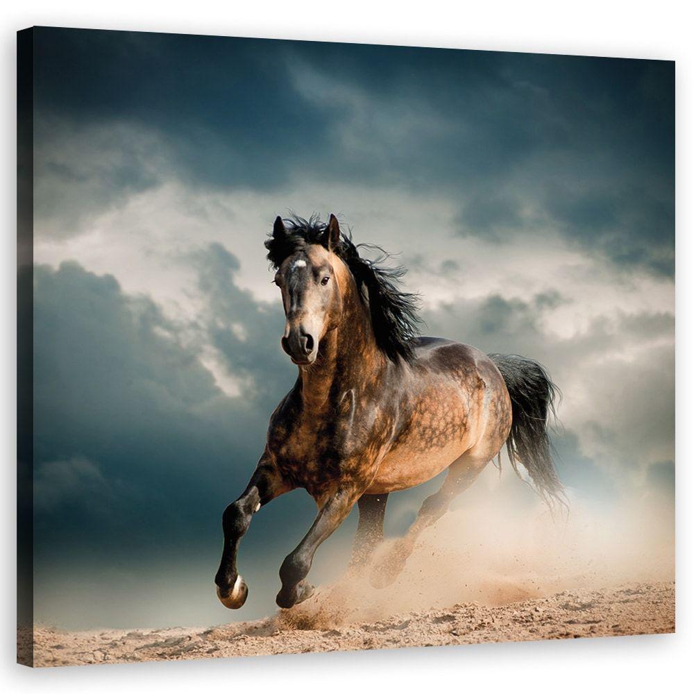 Canvasbillede, galoperende heste
