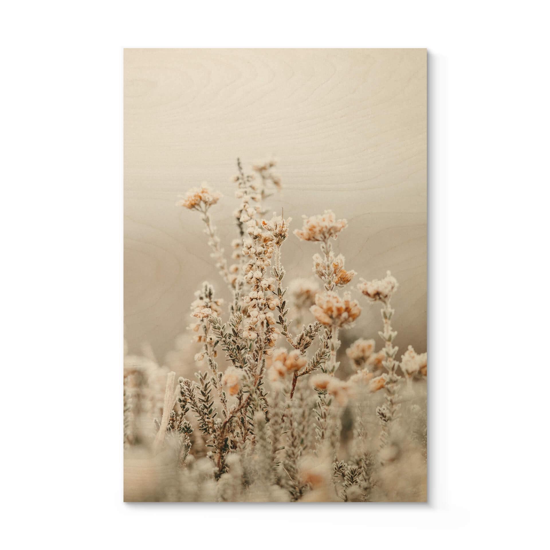 Annie Billede af træ - Isblomster