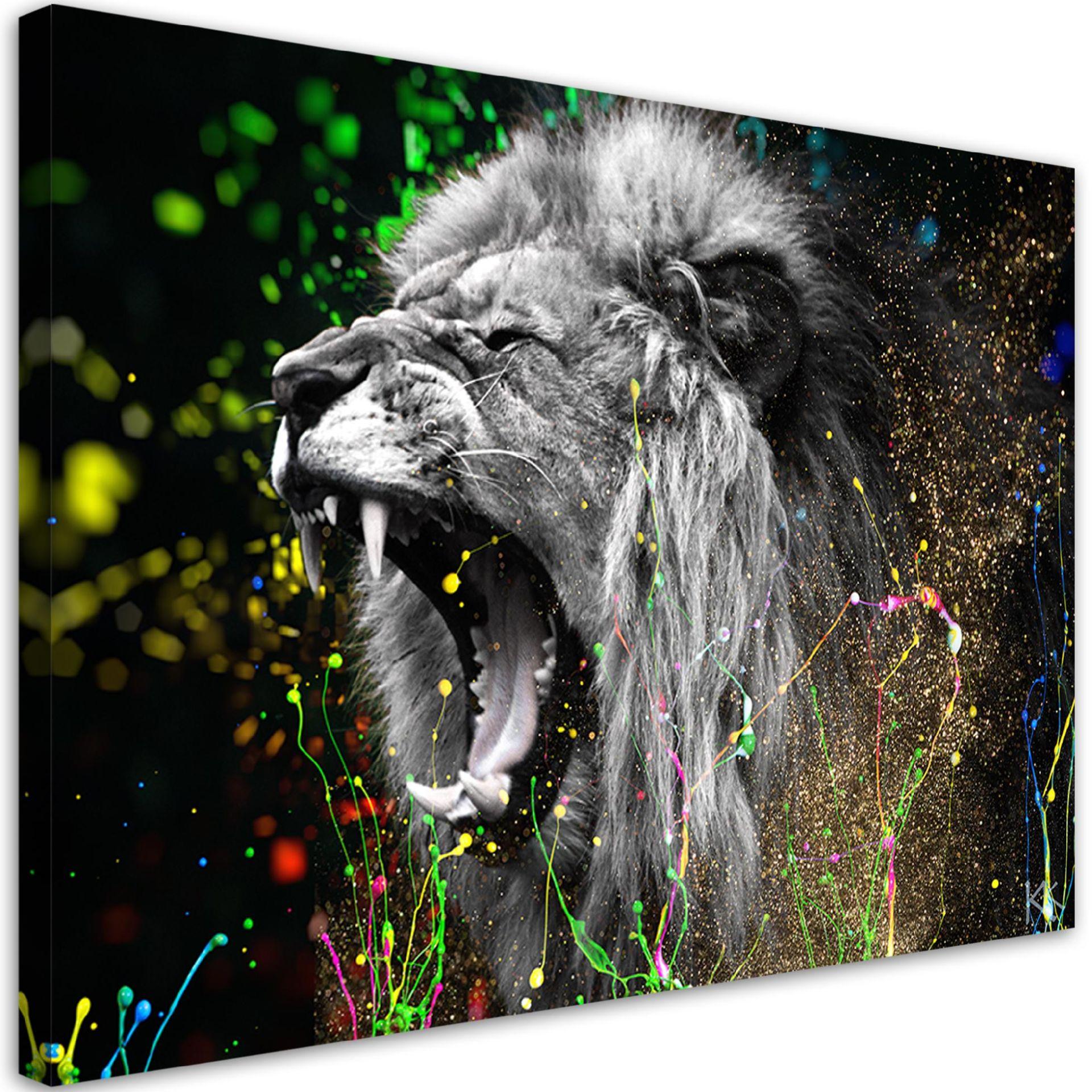 Canvasbillede, Løve dyr natur
