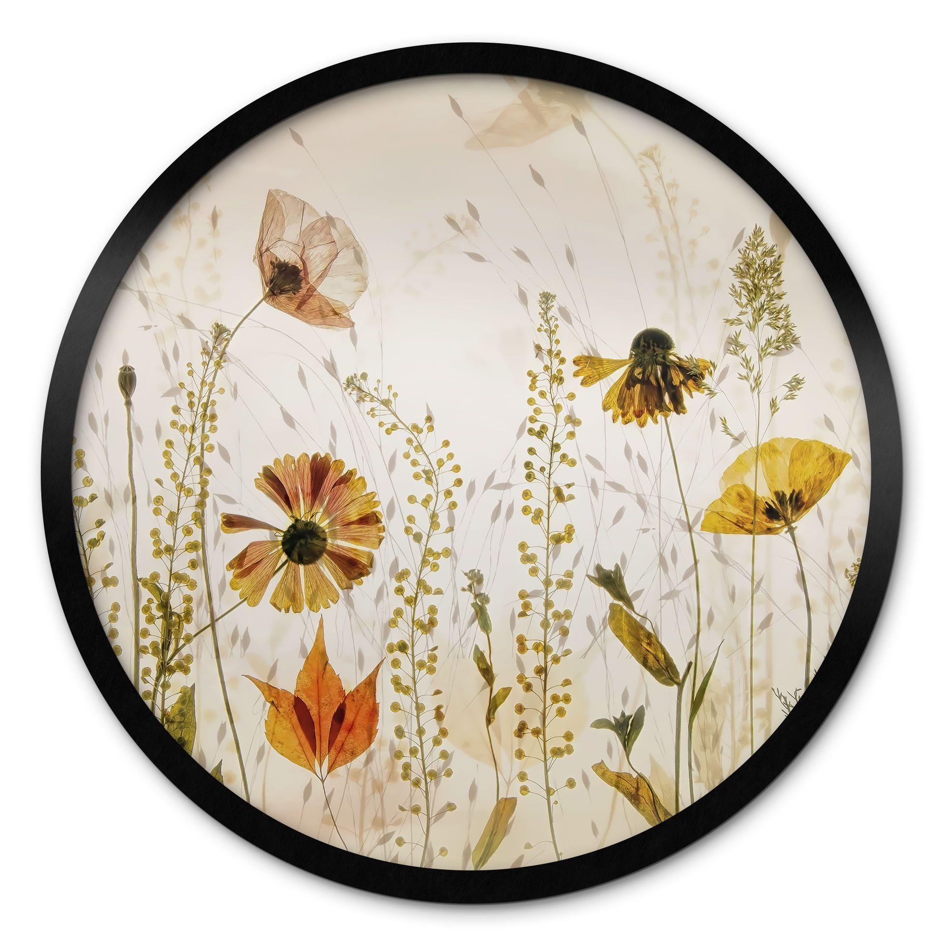 Póster Flores silvestres del prado a la luz del sol - Talen - Round